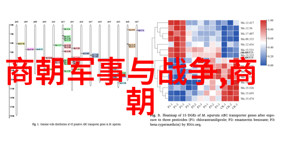 河北省教育考试院引领青春梦想的智慧舵手