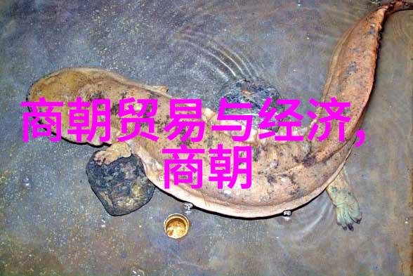 皇家宴席佳肴品味元代繁荣时期的美食盛宴