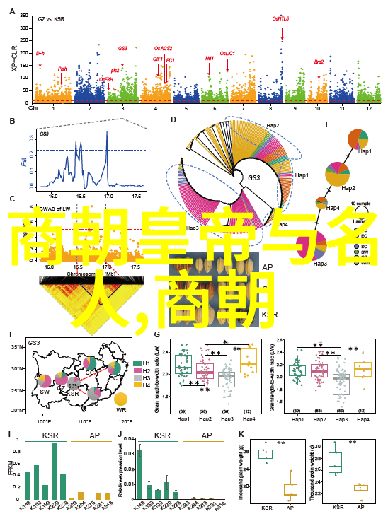 神话传说-伏羲之治三皇五帝的智慧与成就