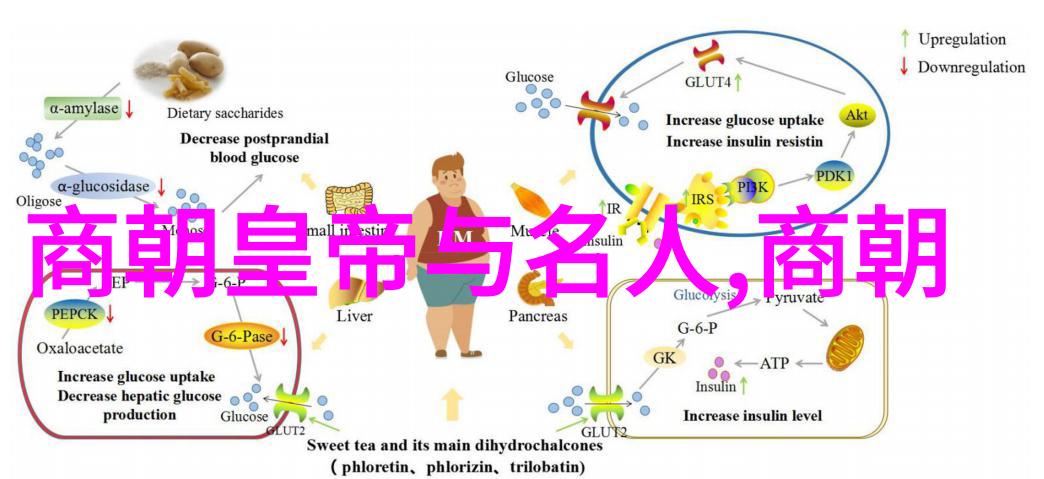 五胡乱华后晋宋齐三国鼎立故事