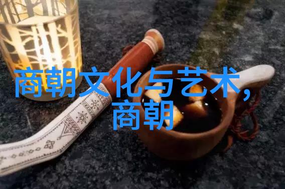 穿越千年世界历史波兰球完整版的编织