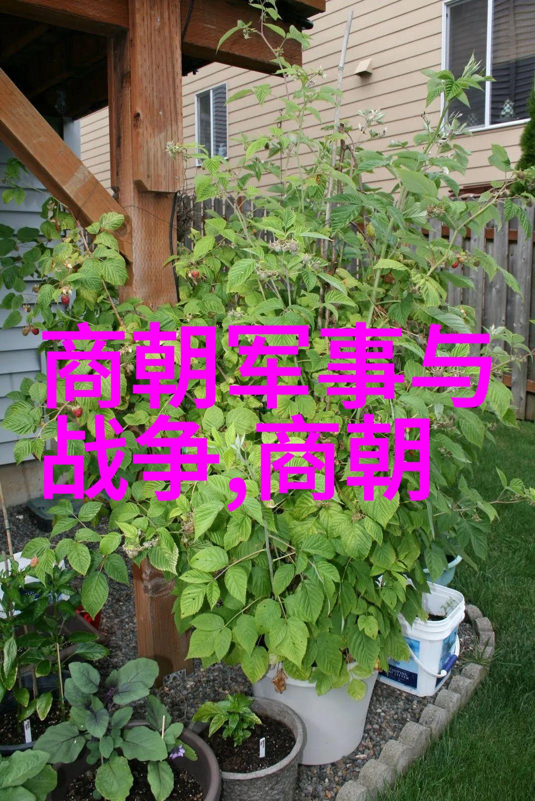 花木兰的传奇从古代传说到中世纪英雄