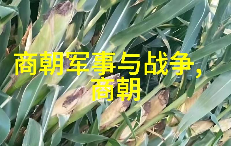 秘密教学100话深夜学习的魔法