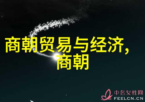 明朝末日前夜一场诡异的宴会与惊魂未定的太监们