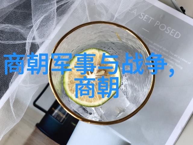 南宋后面是什么朝代探秘丁玉的世界