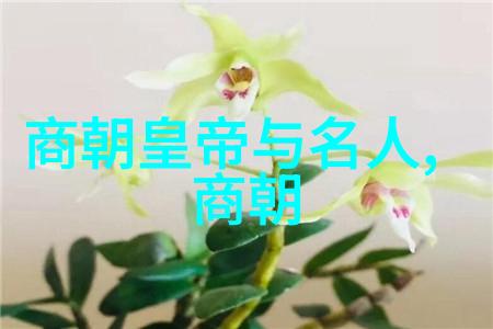 南明遗民的最后一抹光芒那些未被历史册封的小朝廷