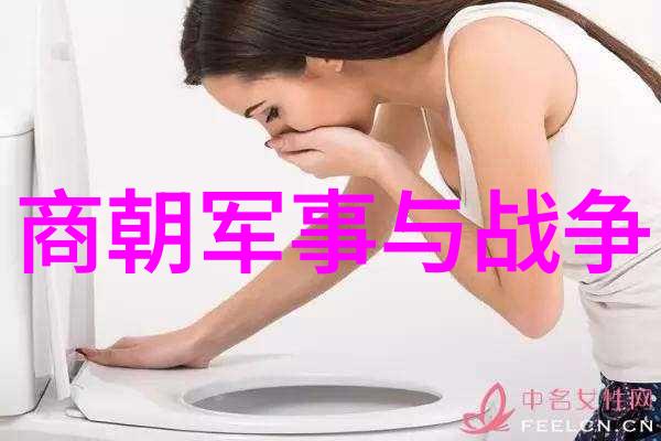 辽阔的历史元朝的兴衰与文化遗产