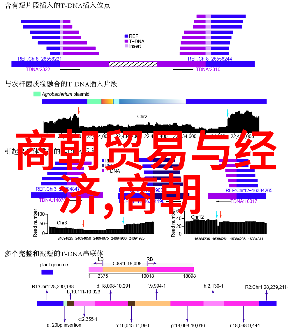 韩剧我在婚礼上遇见了你