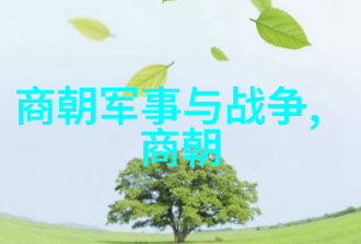 穿越时空的秘密揭开历史真相的未解之谜