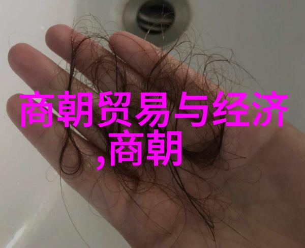 小镇上的孤独书店温暖的书香与人生的故事