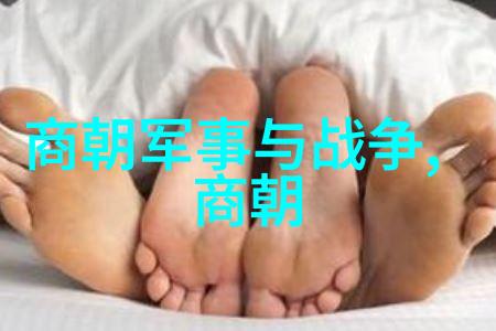 南明遗民小朝廷的终结明末清初历史上的最后抵抗