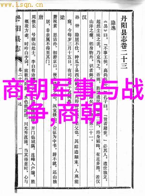 宋国历史简编从开国之霸到中兴之梦