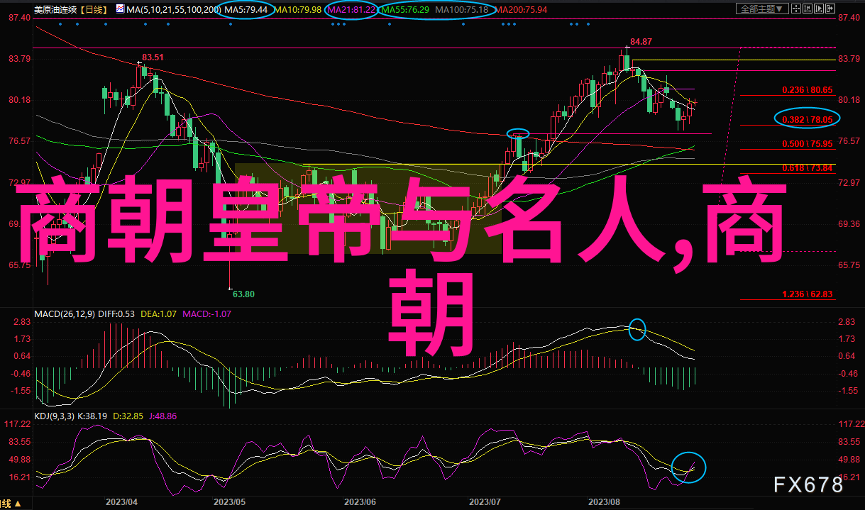 我来告诉你明朝那些事儿从朱元璋到崇祯的帝王大串连