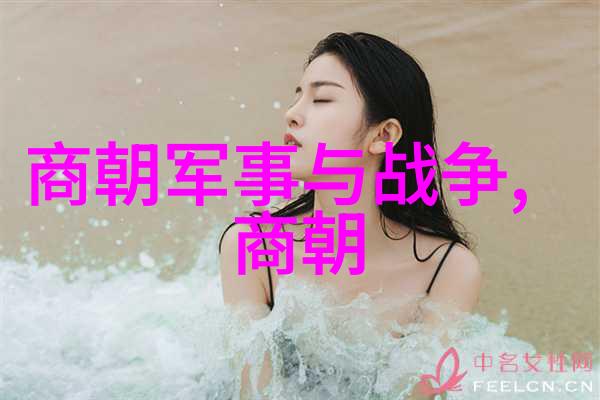 燕易王羽翼覆盖下的沉默革命