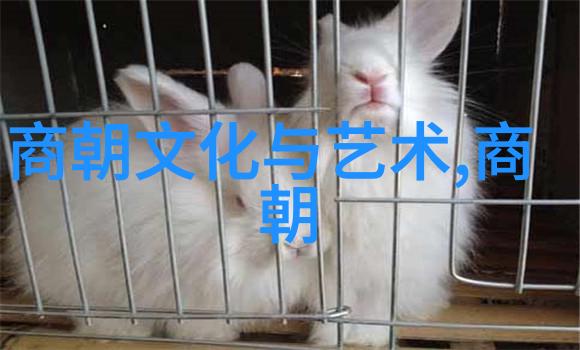 从猿到汉族人类进化史趣闻录 小学课堂上的演讲比赛