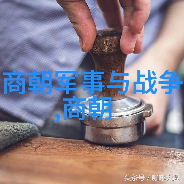 明朝那些壮丽瞬间历史的火焰与风雨