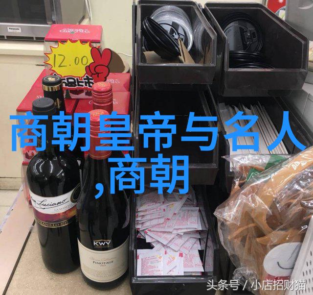 明朝传奇龙凤盛世与倭寇劫难