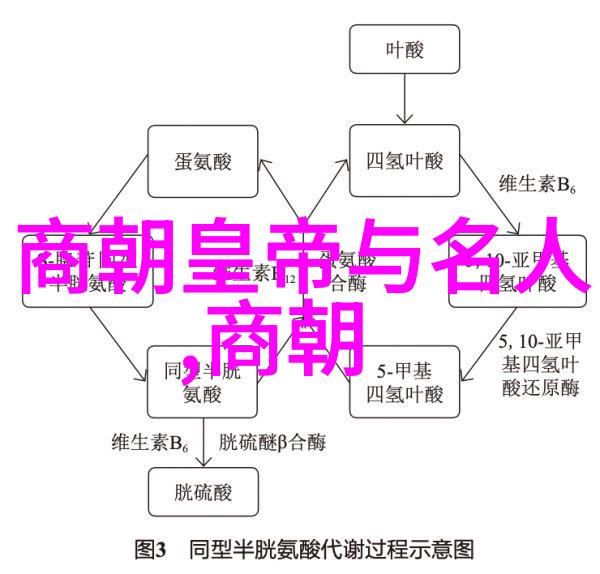 曹随萧归8字情话中寻前193年