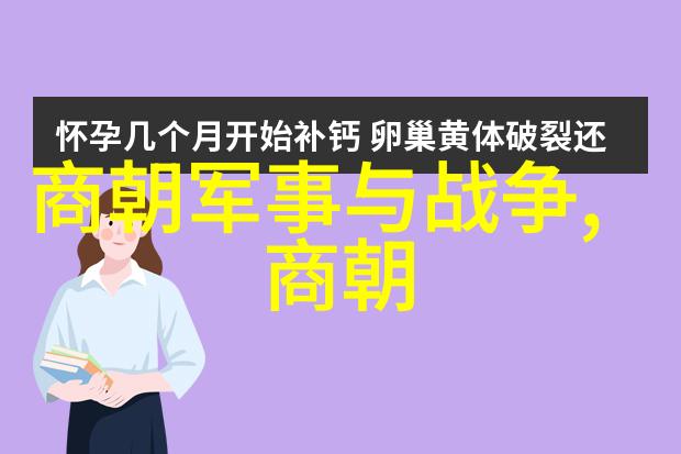 宋朝煌烂史册从北宋灭亡到南宋复国的辉煌与挫折