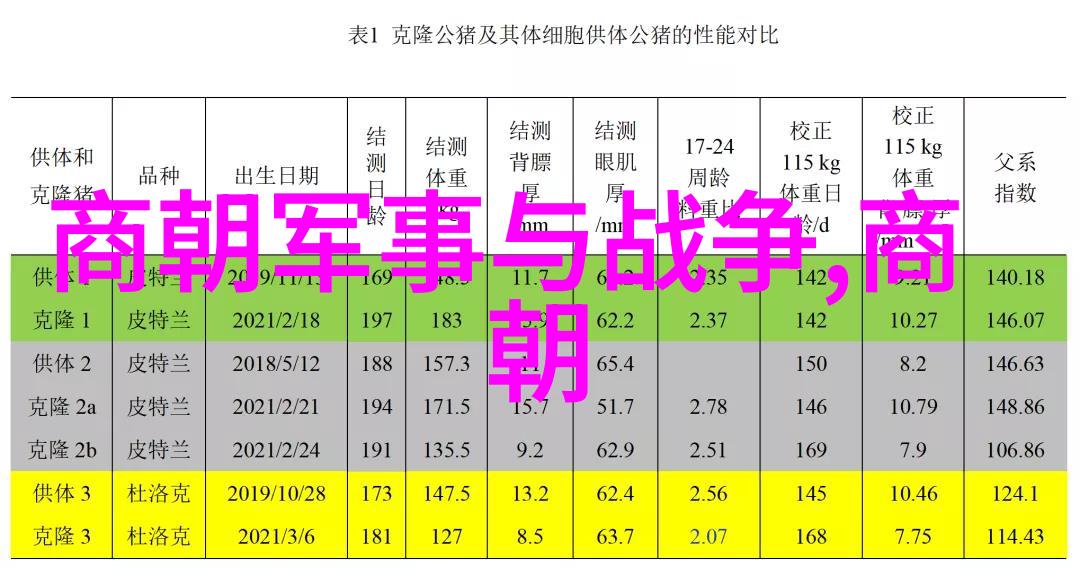 探索艺术的多维度表达形式与创意的交汇