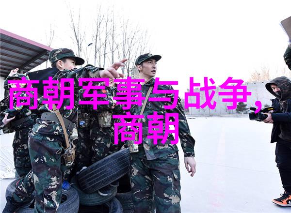 关于中国历史的资料 - 穿越时空探索中华五千年的瑰宝