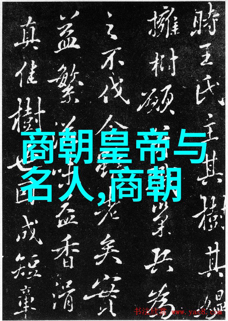 元代历史背景概述中国元代的政治经济与文化