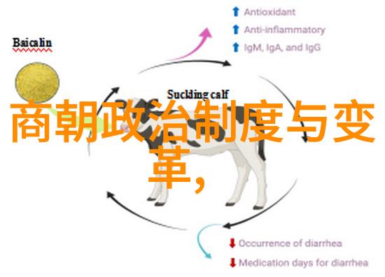 元代城市的繁华与艺术的绽放