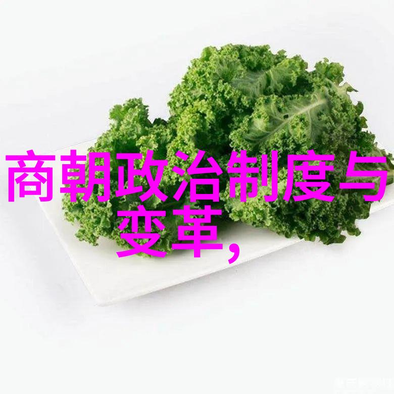 探索历史的脉络论最不应该灭亡的朝代及其对中华文明的深远影响