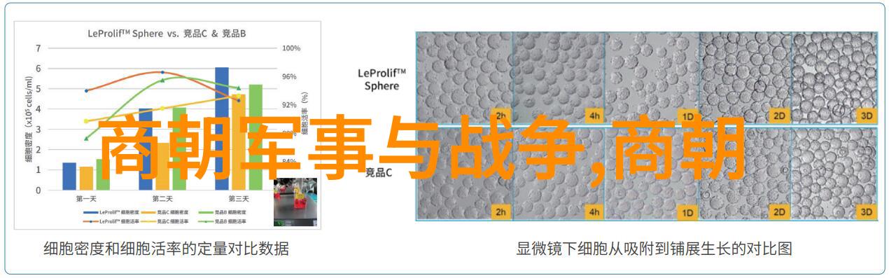 揭秘中国古代史料的寻找与鉴别技巧