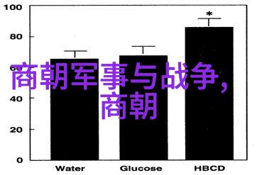 元代政治体制演变从忽必烈到后来的皇帝政权如何调整和强化