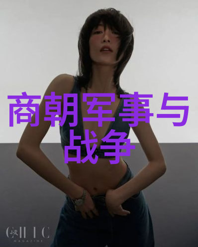 新版本隋唐演义是否更注重历史细节或是艺术创作自由度的问题探讨