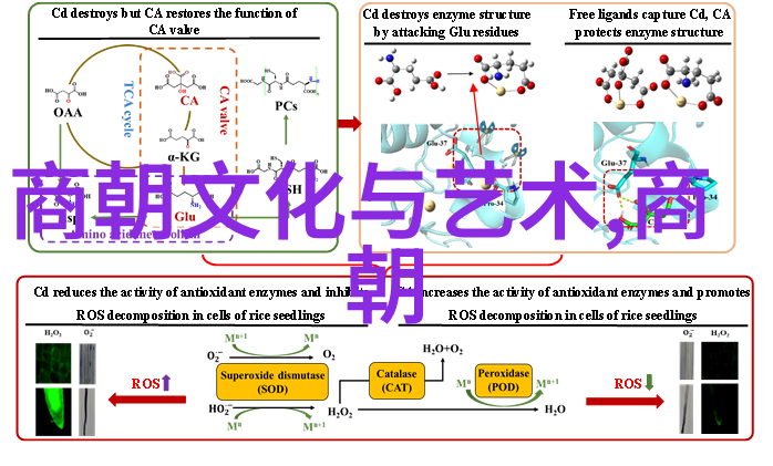 星光下的秘密舞会