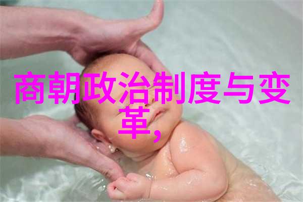 多尔袞清代中央集权体制之父的治世平定策略