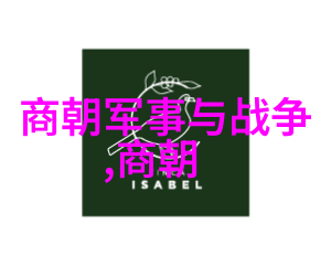 关于自由的名人传记我想听听飞翔在风暴中的鸟儿艾伦图灵的自由之旅