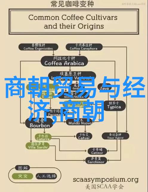 元朝的中国印记探索蒙古帝国在华的历史足迹