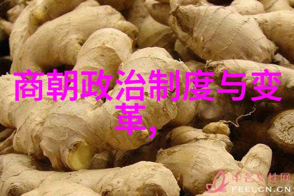 明朝历史视频播放方法料罗湾海战后荷兰每年向中国进贡12万法郎反复回响在历史长河中