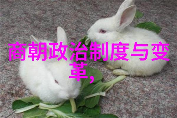 无垠醉虎穿越古风的现代女侠