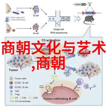 明朝的阴影黑暗背后的秘密