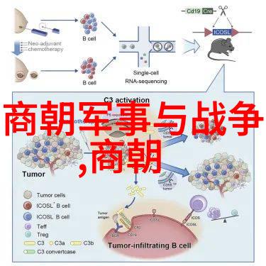 历史战争-铁木真大军与元帅伯颜的决战土木堡之战细节