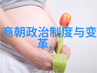 女真匠心分析朱允芬如何影响后世的历史记忆