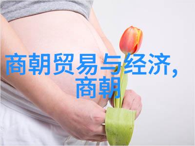 唐朝婚礼我在古代的花园里看了个热闹的婚礼