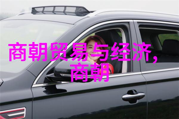 一路向前一步一个脚印  如何通过系统学习来将复杂而繁琐的历史时期转化为简单易懂的情景以便顺利完成20