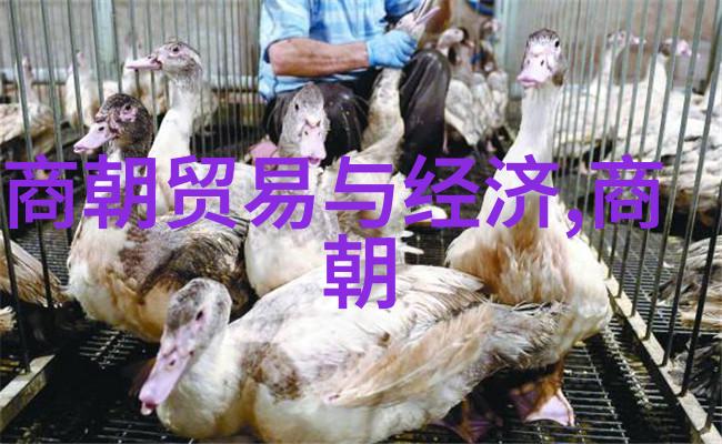 民间故事 我和110个老故事的奇妙冒险