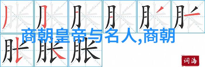 动态视频安装在公共空间中的作用是什么以及它是如何吸引观众参与互动的