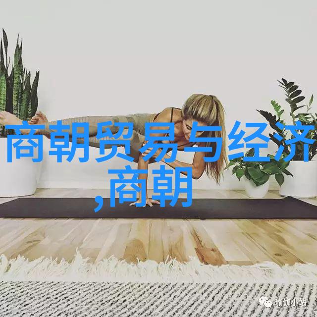 如何选择一本适合初学者的唐朝历史读物