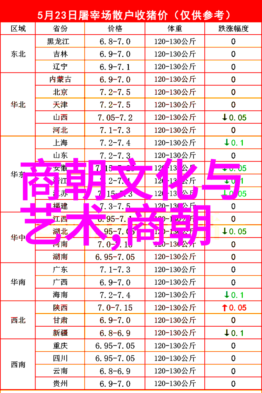 隐秘的过去揭开历史真相的迷雾