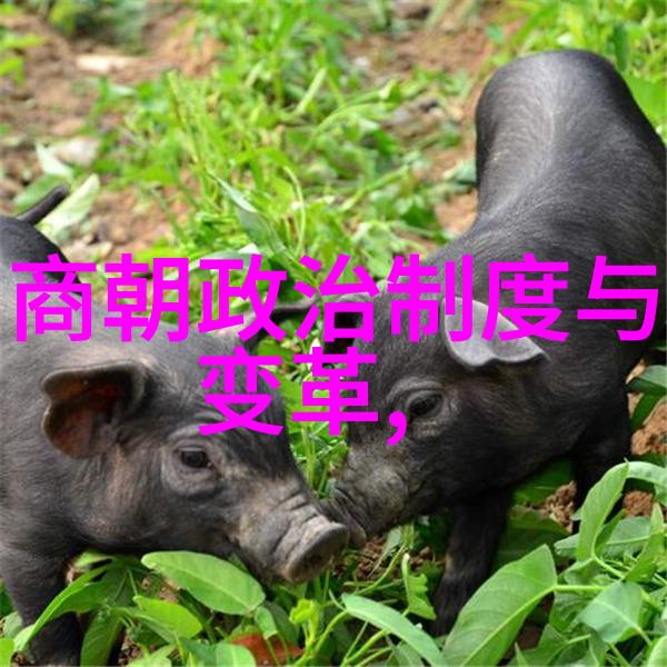 历史笑谈从古至今笑料盈天地