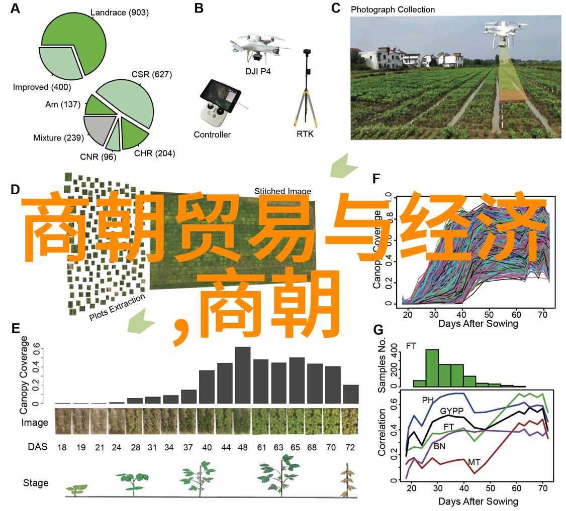 刘亦菲在这部电视剧中的表现得到了观众和评论家的怎样的评价