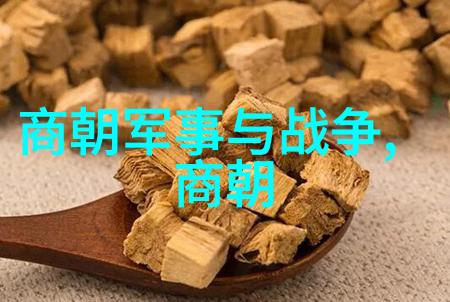 古老时光的长河探秘5000年历史的轮回