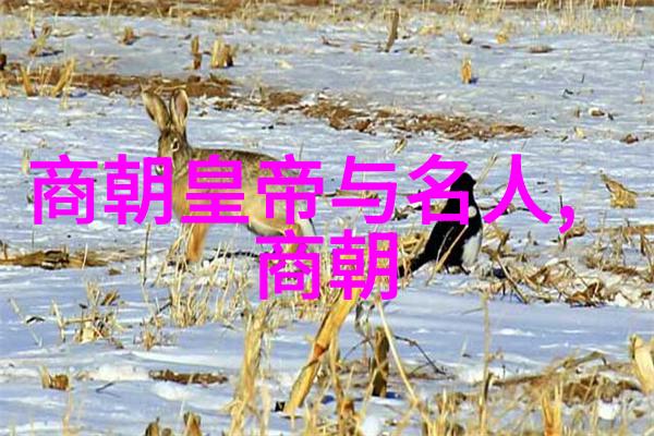 岳飞死后宋朝的变化-风月无归岳飞逝世后的宋朝局势